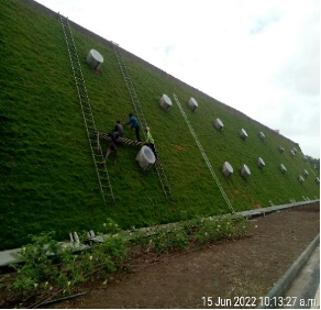 Vertical Garden preview 5